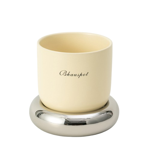 세련된 소형 화분 세라믹 트레이와 통통 반지 다육 식물 관엽 식물